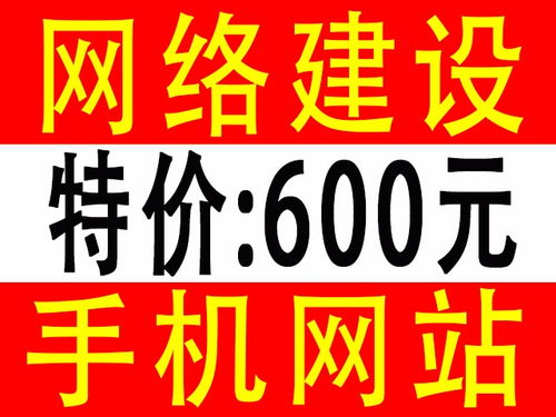 深圳網站建設與推廣 從快速建站到軟件開發(fā)，一站式解決方案探索